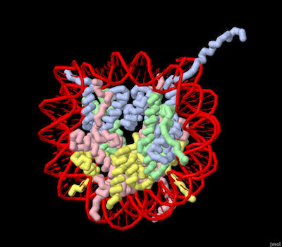 Nucleosome